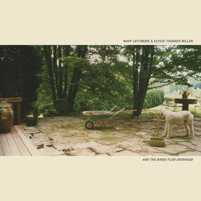 MARY LATTIMORE & ELYSSE THEBNER MILLER - And The Birds Flew Overhead
