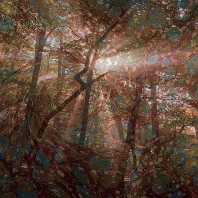 ADAM LEONARD - Nature Recordings
