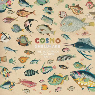 COSMO SHELDRAKE  - The Much Much How How And I