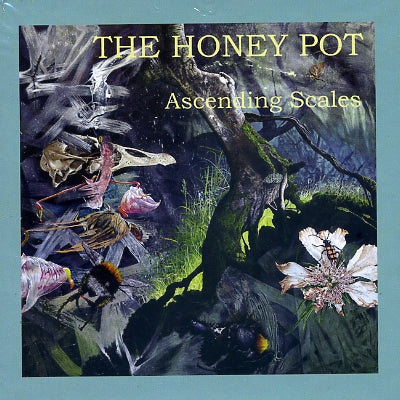 THE HONEY POT - Ascending Scales