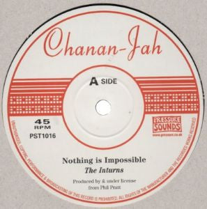 THE INTURNS - Nothing Is Impossible