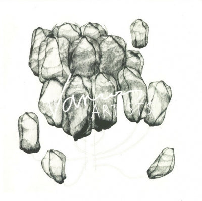 VARIOUS - Box Aus Holz 002 Lost Tracks Vol. 2