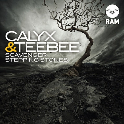 CALYX & TEEBEE - Scavenger / Stepping Stones