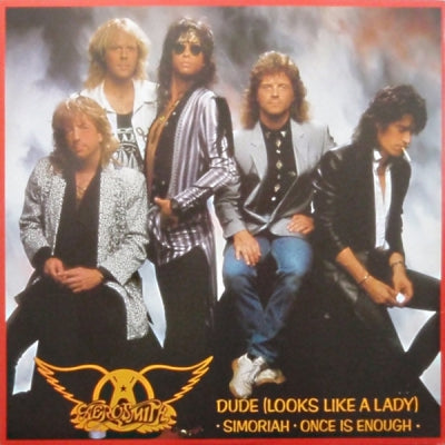 AEROSMITH - Dude (Looks Like A Lady)