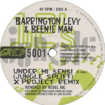 BARRINGTON LEVY & BEENIE MAN - Under Mi Sensi