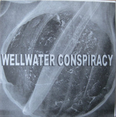 THE WELLWATER CONSPIRACY - Compellor / In Pursuit Of Gingerbread Man