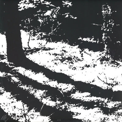 REGGY VAN OERS - Transcranial