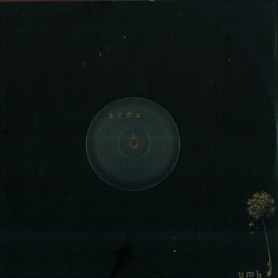AREA - Not Waiting Anymore
