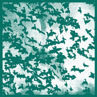 VOLTE-FACE - Murmuration