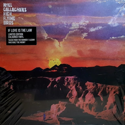 NOEL GALLAGHER'S HIGH FLYING BIRDS - If Love Is The Law