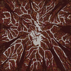 TRASH BOAT - Crown Shyness