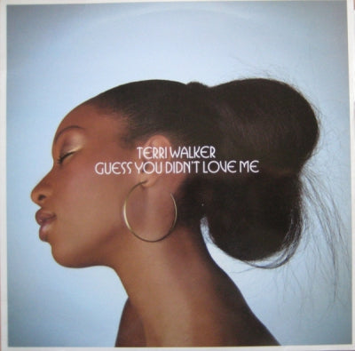 TERRI WALKER - Guess You Didn't Love Me