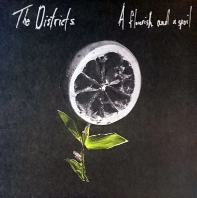 THE DISTRICTS - A Flourish And A Spoil