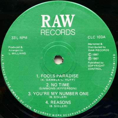 VARIOUS ARTISTS - Raw Records Compilation