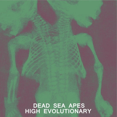DEAD SEA APES - High Evolutionary