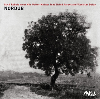 SLY & ROBBIE MEET NILS PETTER MOLVæR FEATURING EIVIND AARSET AND VLADISLAV DELAY - Nordub