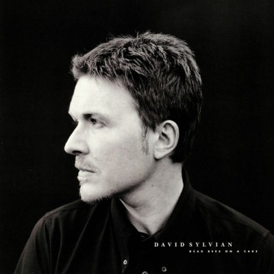 DAVID SYLVIAN - Dead Bees On A Cake
