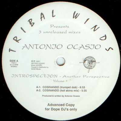 ANTONIO OCASIO - Introspection - Another Perspective Volume 1