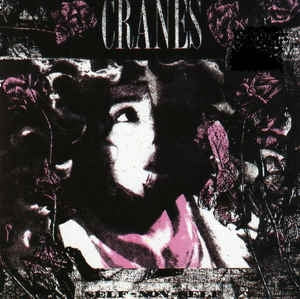 CRANES - Self-Non-Self