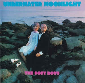 THE SOFT BOYS - Underwater Moonlight