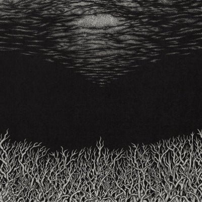 BISMUTH - The Slow Dying Of The Great Barrier Reef