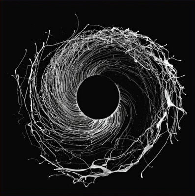 DAWN OF MIDI - Dysnomia