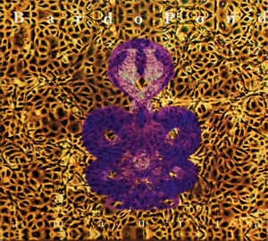 BARDO POND - Amanita