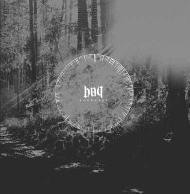 BAIT - Sunburst
