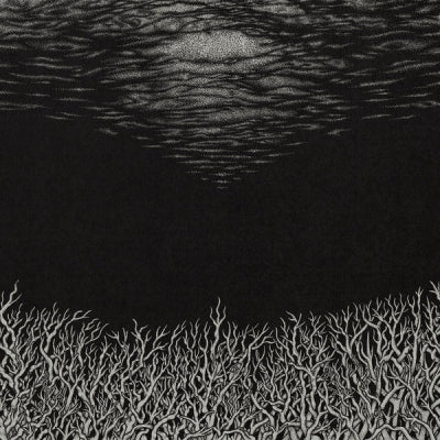 BISMUTH - The Slow Dying Of The Great Barrier Reef