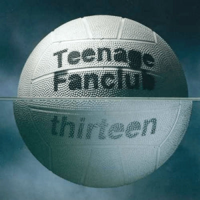 TEENAGE FANCLUB - Thirteen