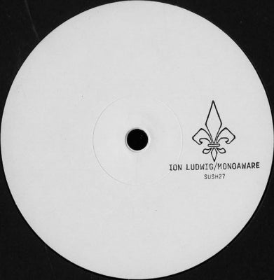 ION LUDWIG / MONOAWARE - Split