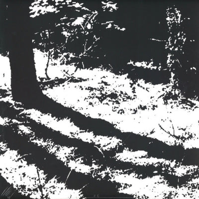 REGGY VAN OERS - Transcranial