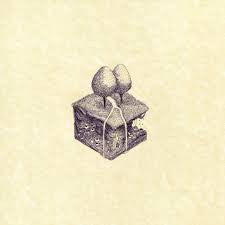 KIRAN LEONARD - Western Culture