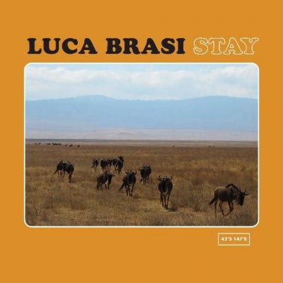 LUCA BRASI - Stay