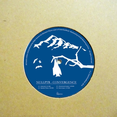 NULLPTR - Convergence
