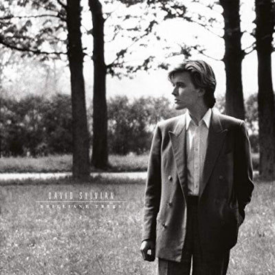 DAVID SYLVIAN - Brilliant Trees