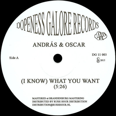 ANDRAS & OSCAR - (I Know) What You Want