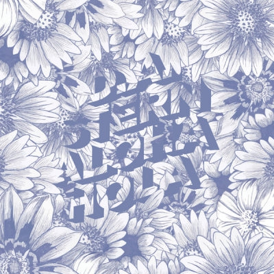 D.A. STERN - Aloha Hola
