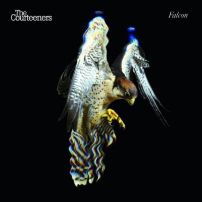 THE COURTEENERS - Falcon