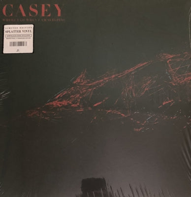 CASEY - Where I Go When I Am Sleeping