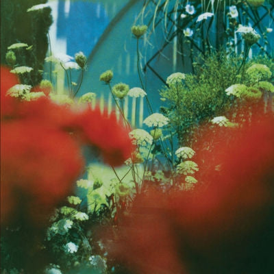 PULLED APART BY HORSES - The Haze