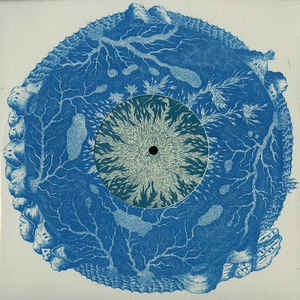 LORD OF THE ISLES - Futures