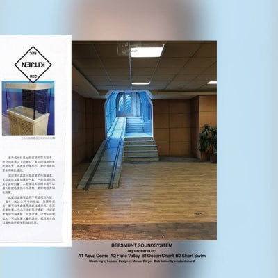 BEESMUNT SOUNDSYSTEM - Aqua Como EP