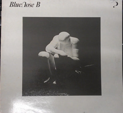 BLUE NOSE B - Forever Passing Trains