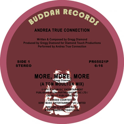 THE ANDREA TRUE CONNECTION  - More More More