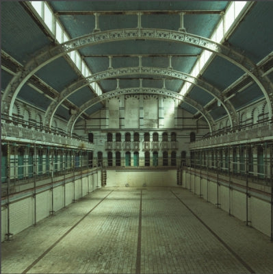 FIELDHEAD - We've All Been Swimming