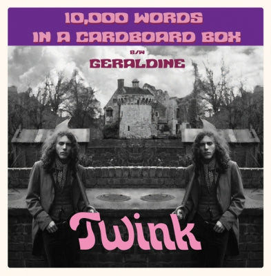 TWINK / ZION DE GALLIER - 10,000 Words In A Cardboard Box / Geraldine