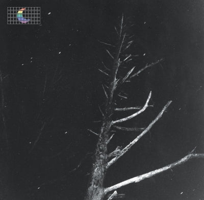 PETER BRODERICK - (Colours Of The Night) Satellite