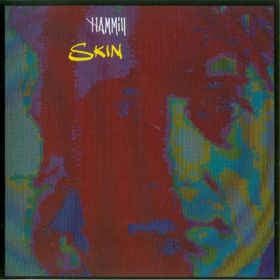 PETER HAMMILL - Skin