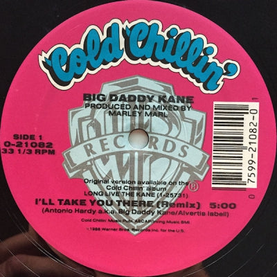 BIG DADDY KANE - I'll Take You There